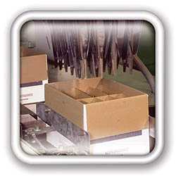 Packaging industry